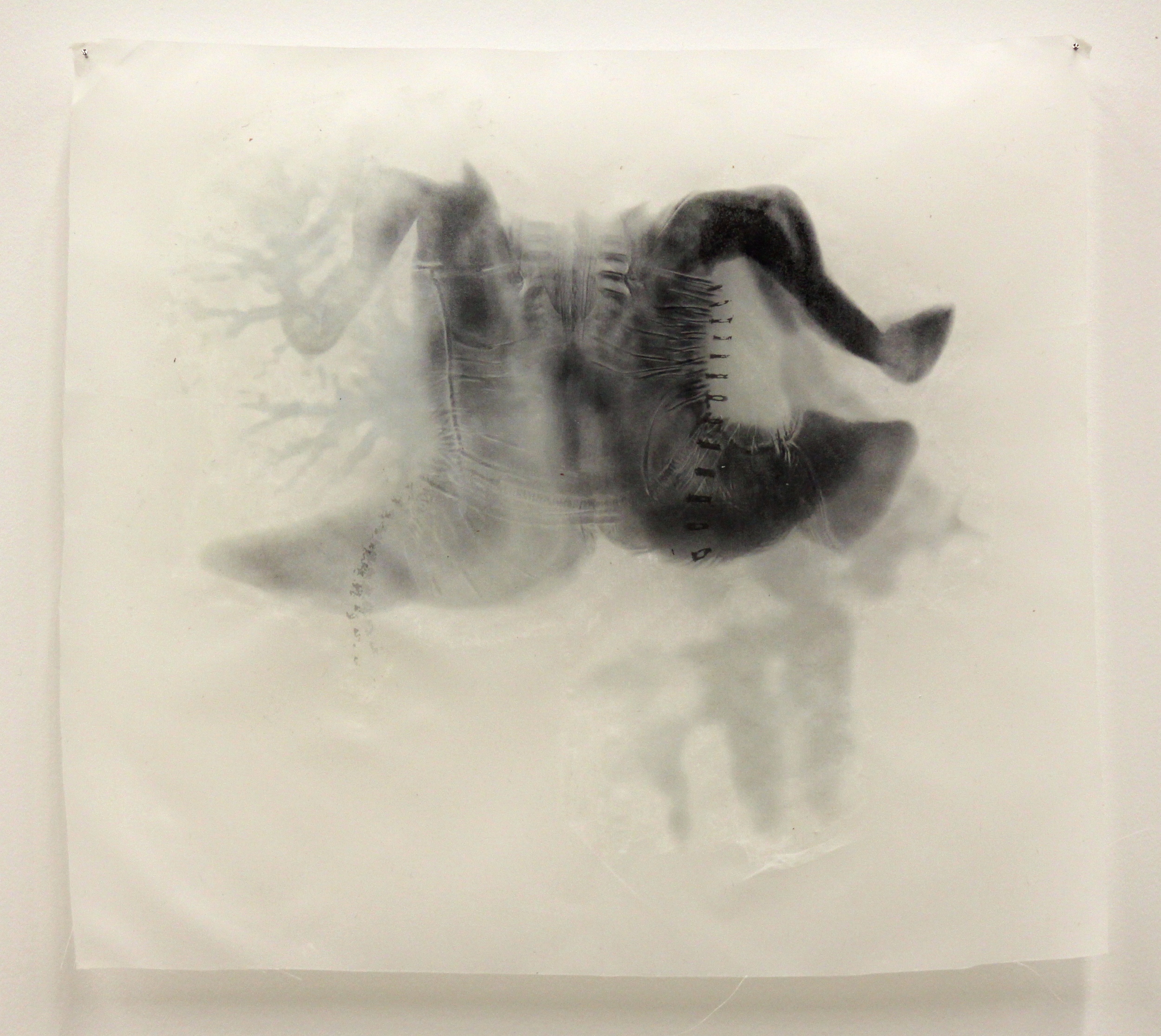  "Dualism I," Toner transfer on waxed silk, 10" x 11," 2015 
