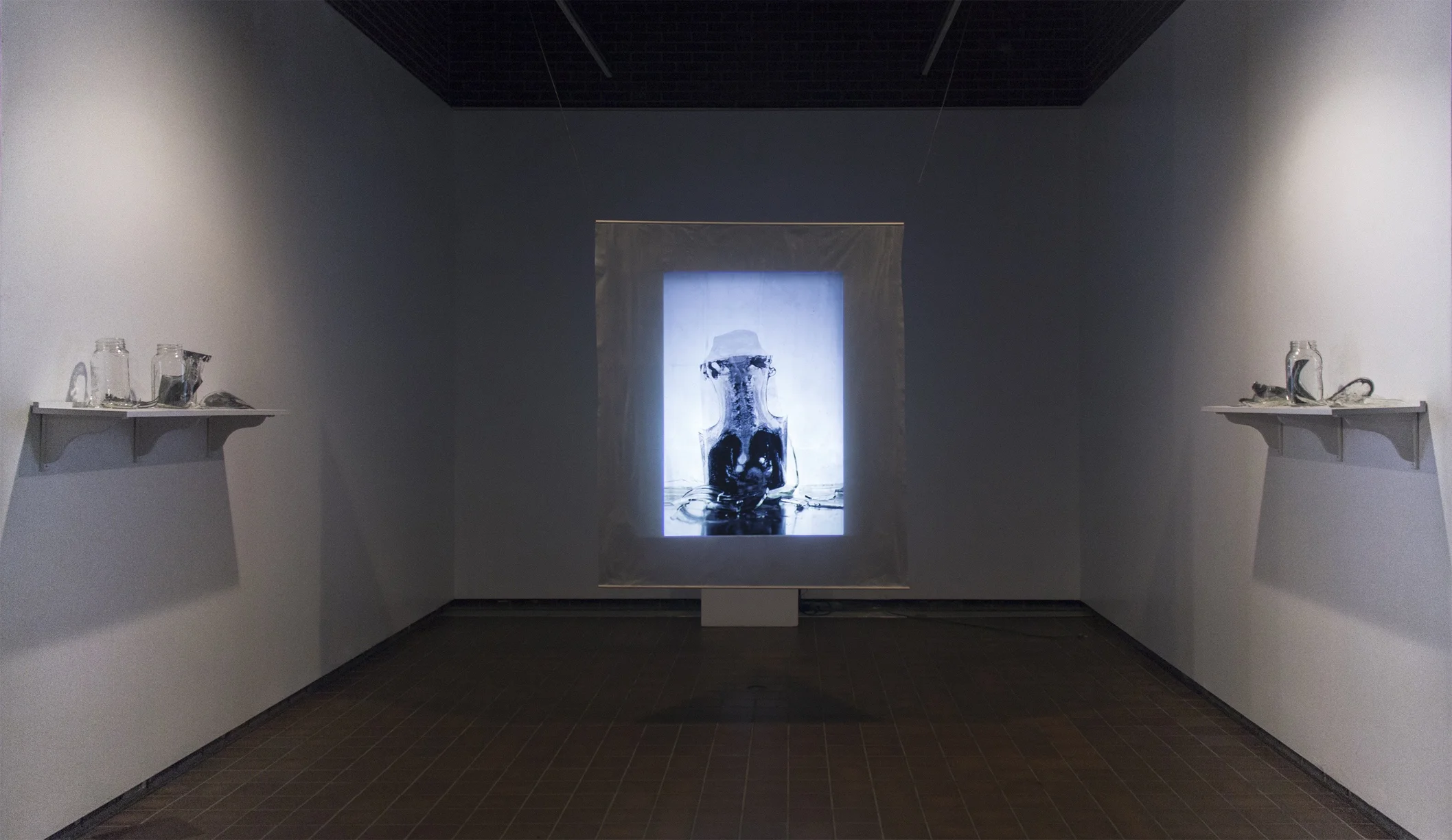 "Relapse/Remission," Stop motion projection (7:30), glass, ice, and film, 2015