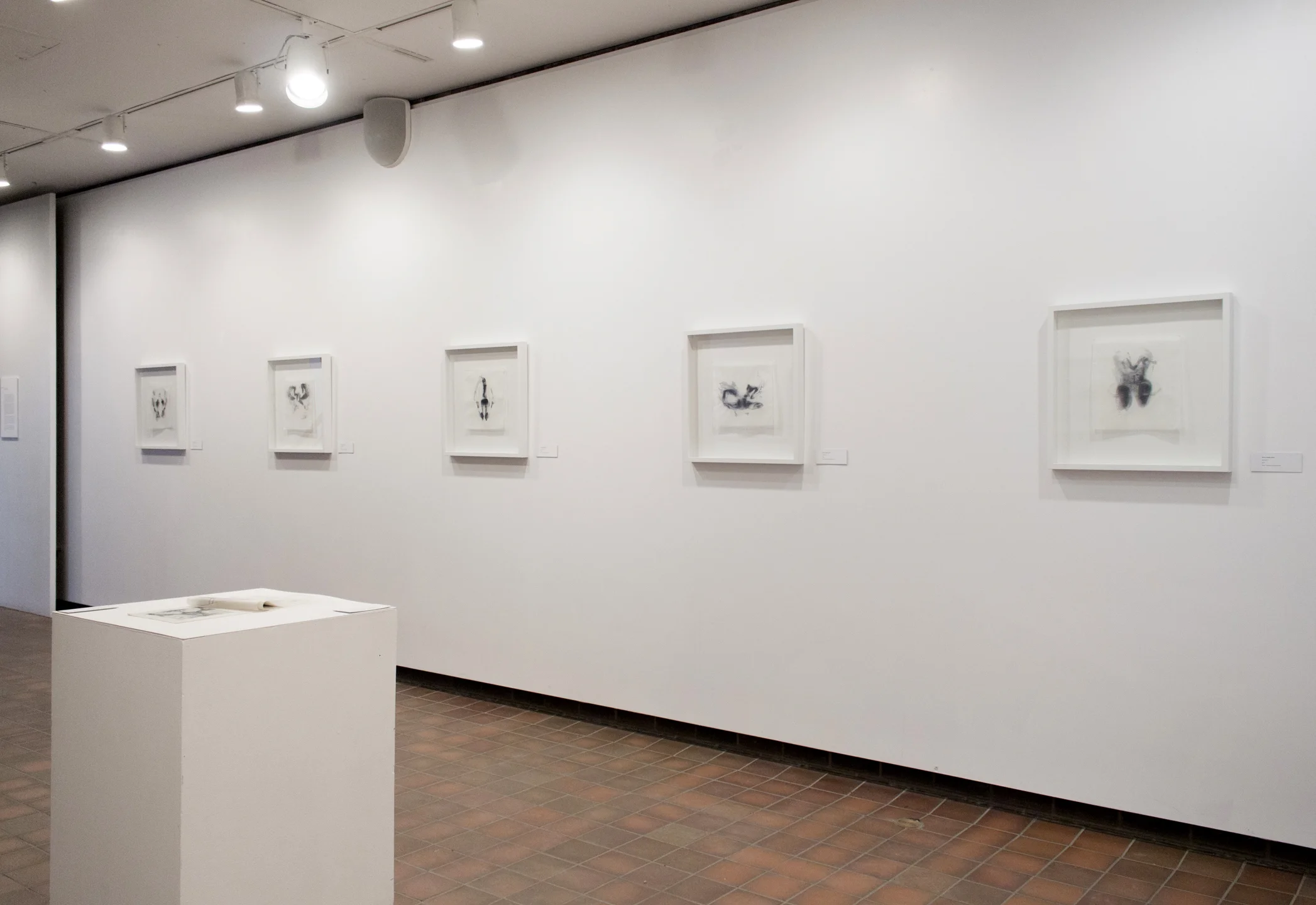 HABITUS exhibition documentation 2015