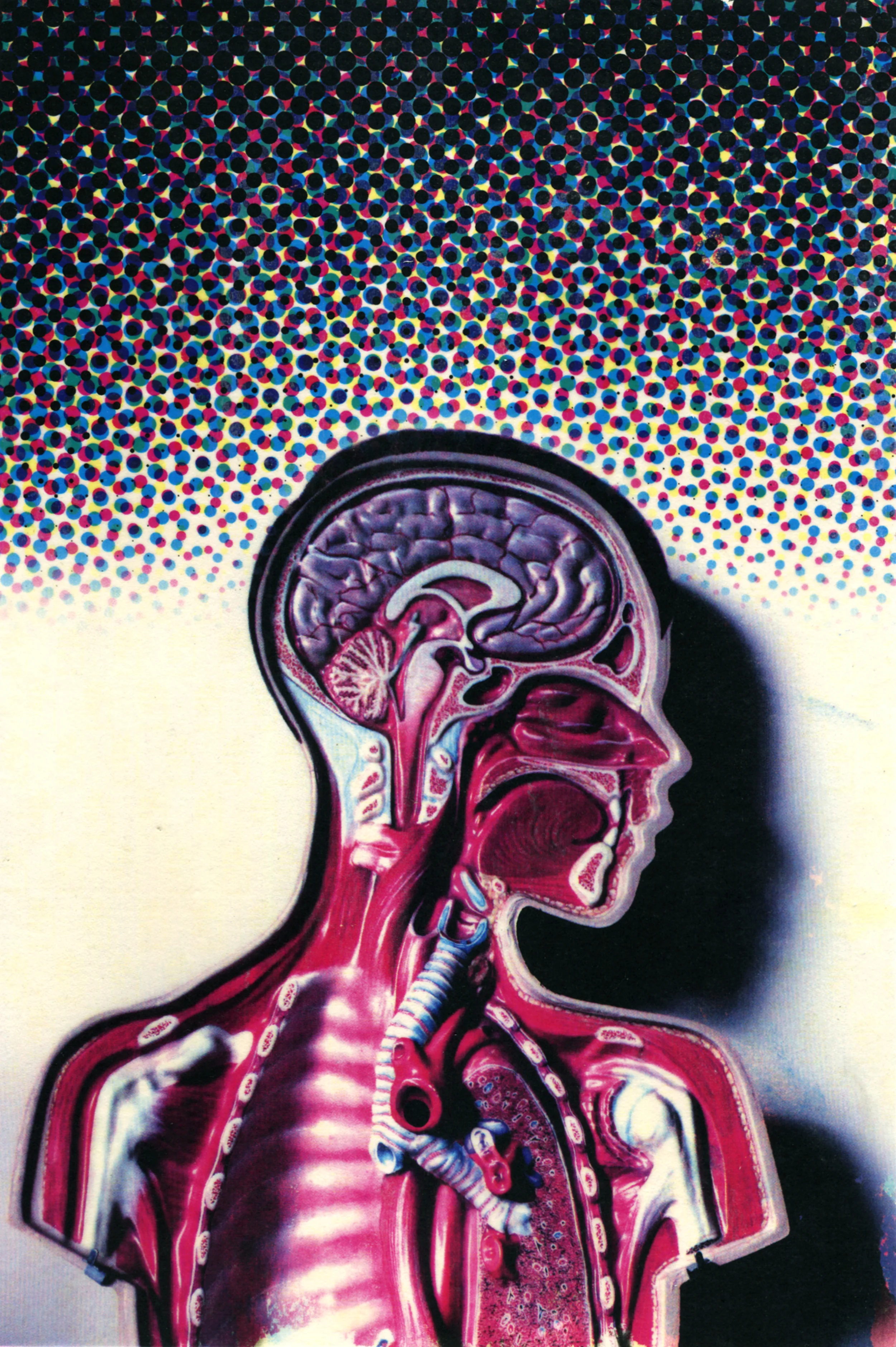 "Pixels In," CMYK Toner tranfer and encaustics, 16" x 10", 2015