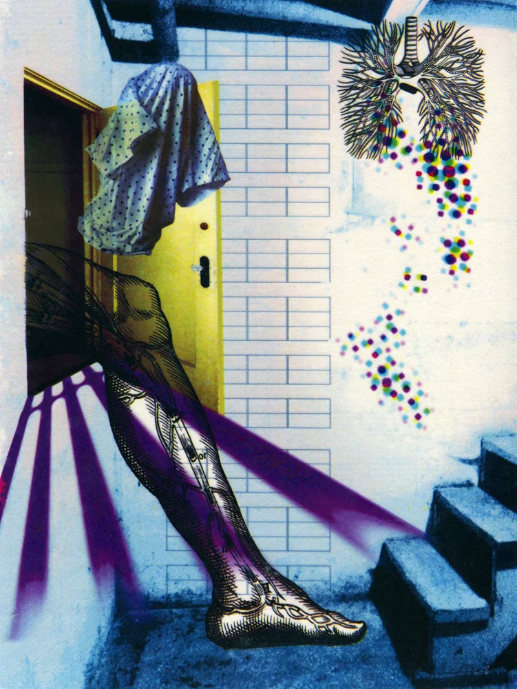 "Step in" Encaustic toner transfer, 10" x 8," 2016
