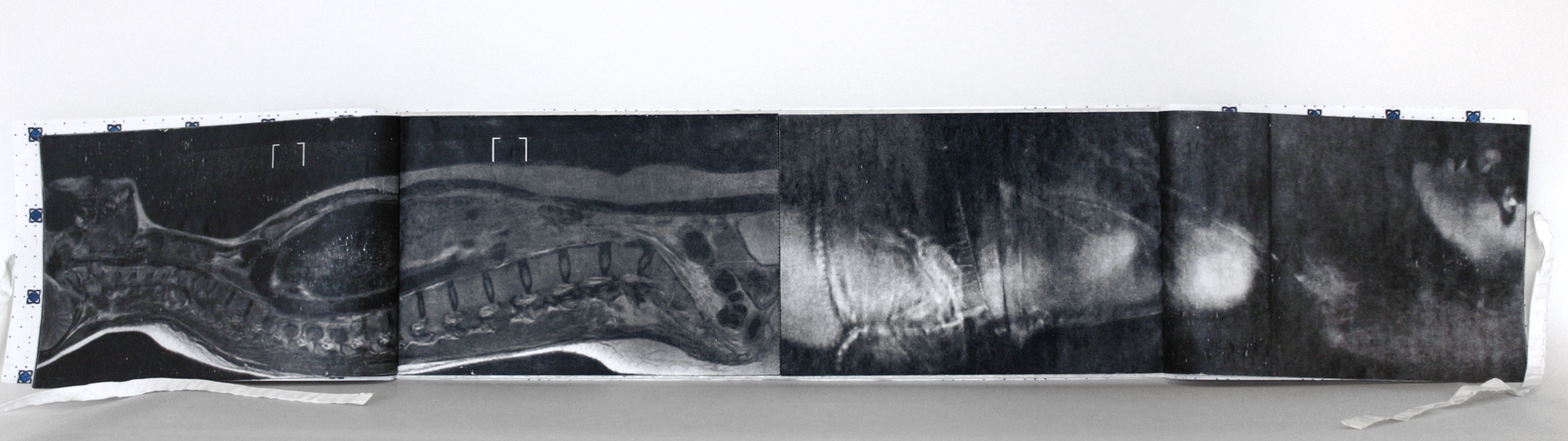 "EncodingDecoding" Artist Book detail, Encaustic transfer on silk, 6" x 19," 2016