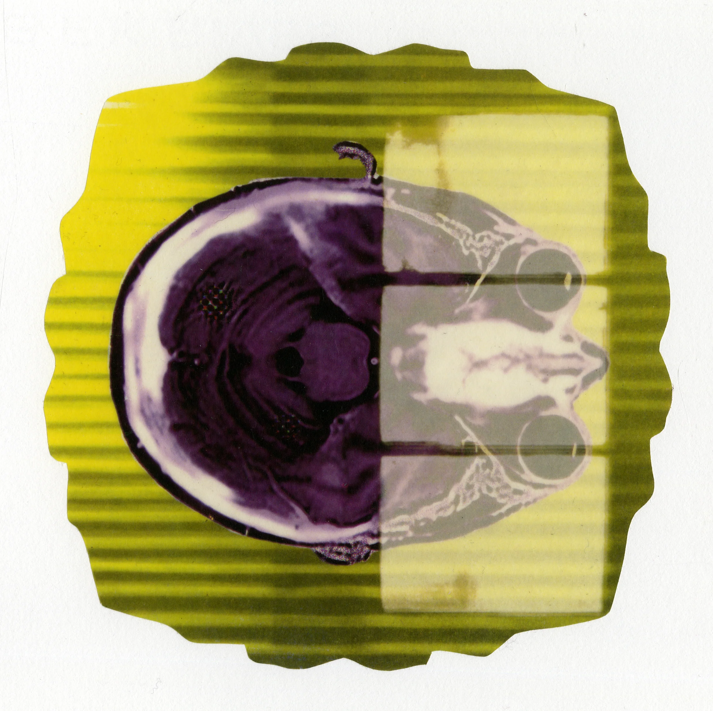 cameo002.jpg