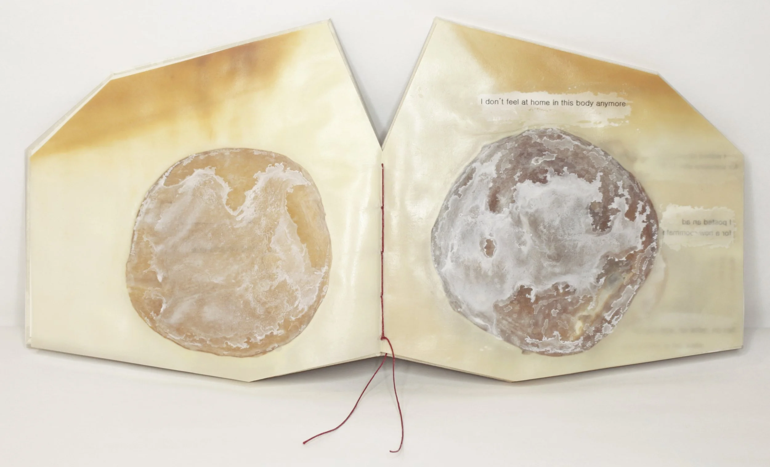   Bad Roommate , Encaustic transfer and microbial cellulose, 6” x 7,” 2026.   