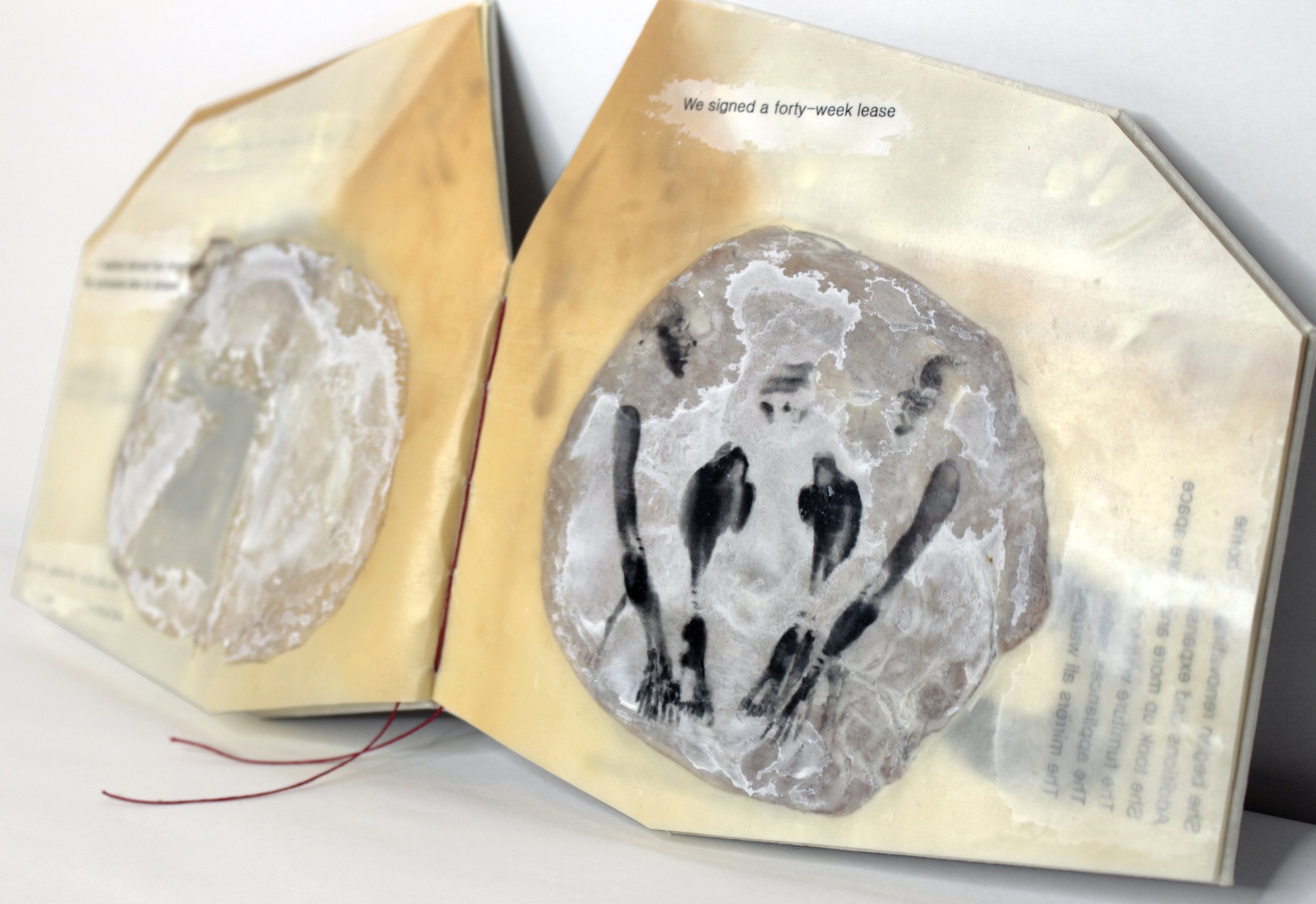   Bad Roommate , Encaustic transfer and microbial cellulose, 6” x 7,” 2026.   