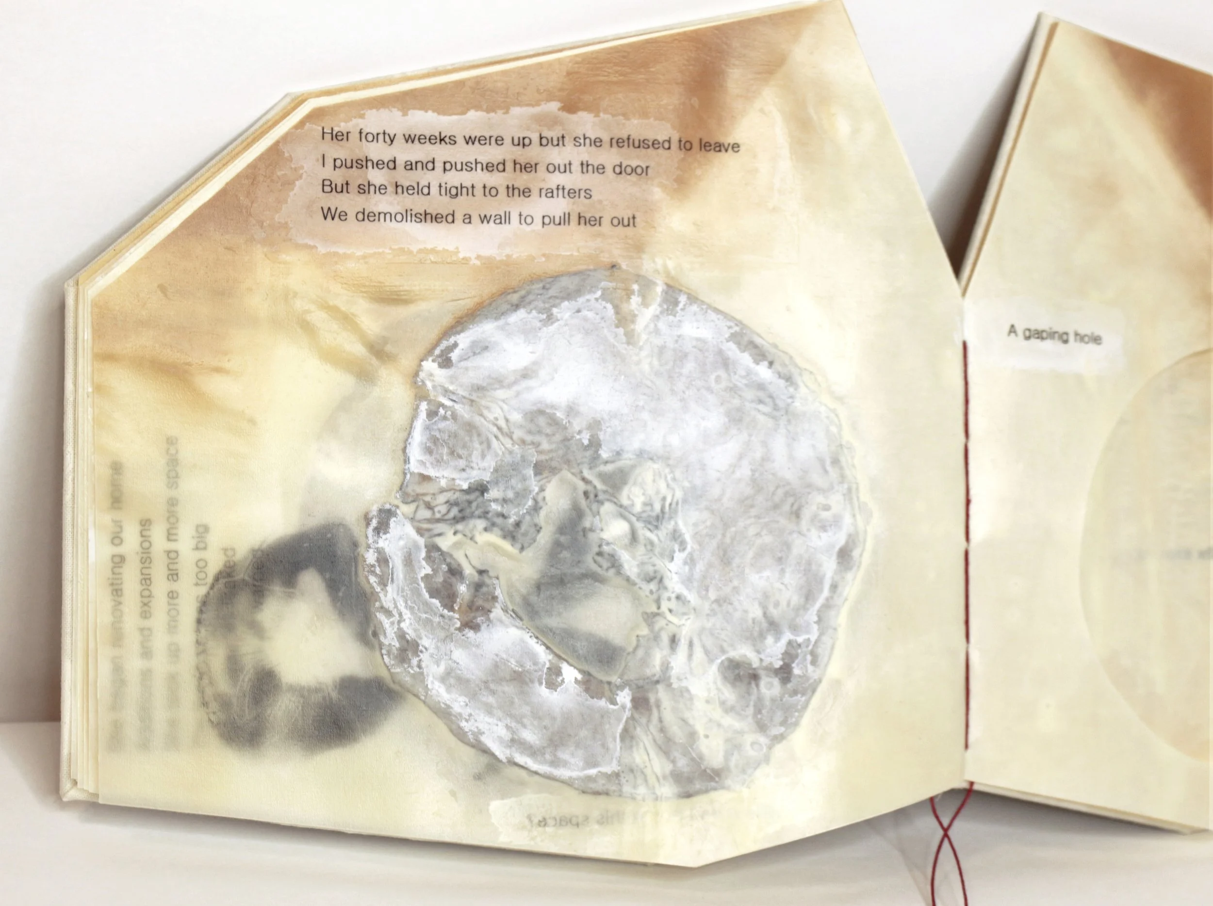   Bad Roommate , Encaustic transfer and microbial cellulose, 6” x 7,” 2026.   