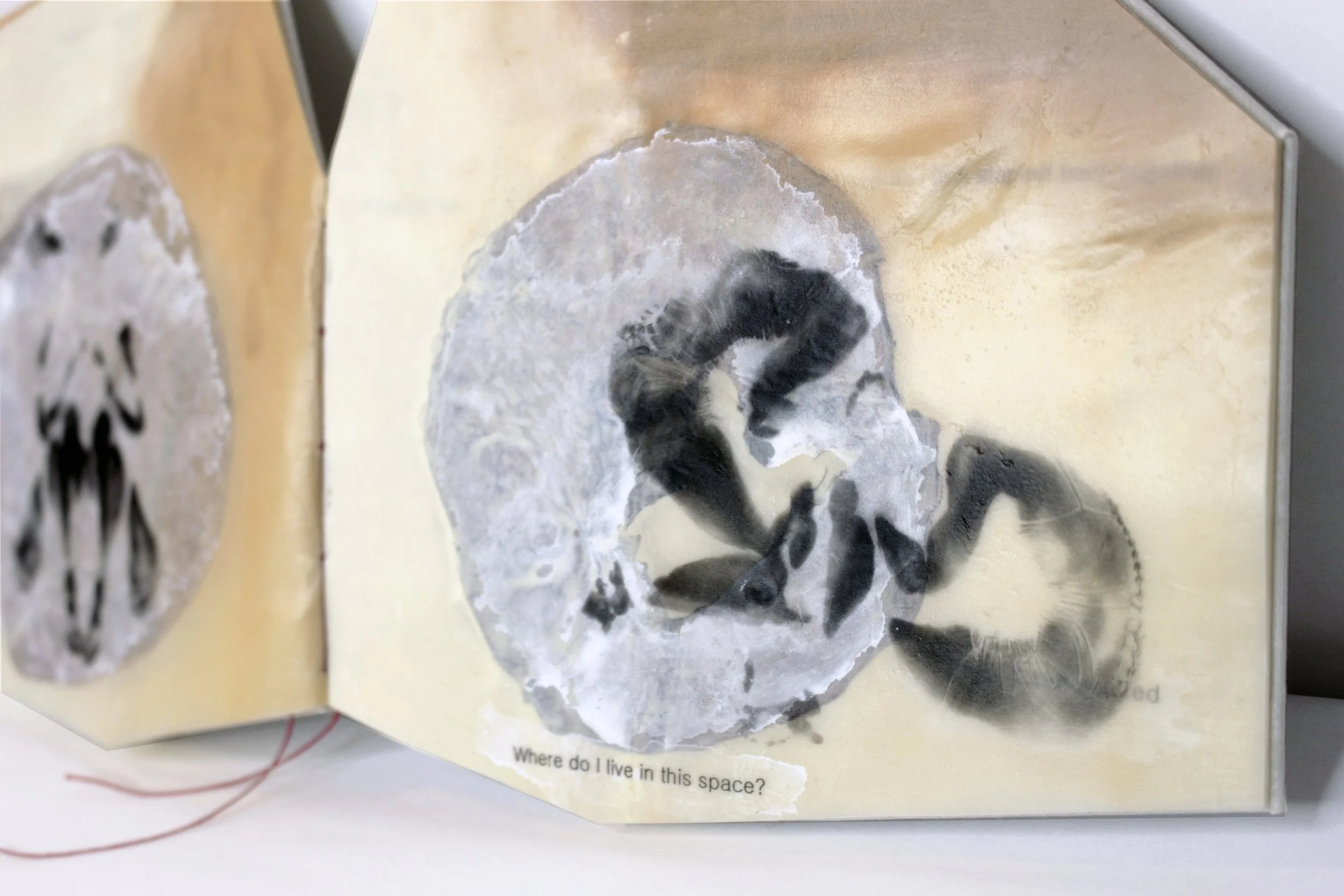   Bad Roommate , Encaustic transfer and microbial cellulose, 6” x 7,” 2026.   