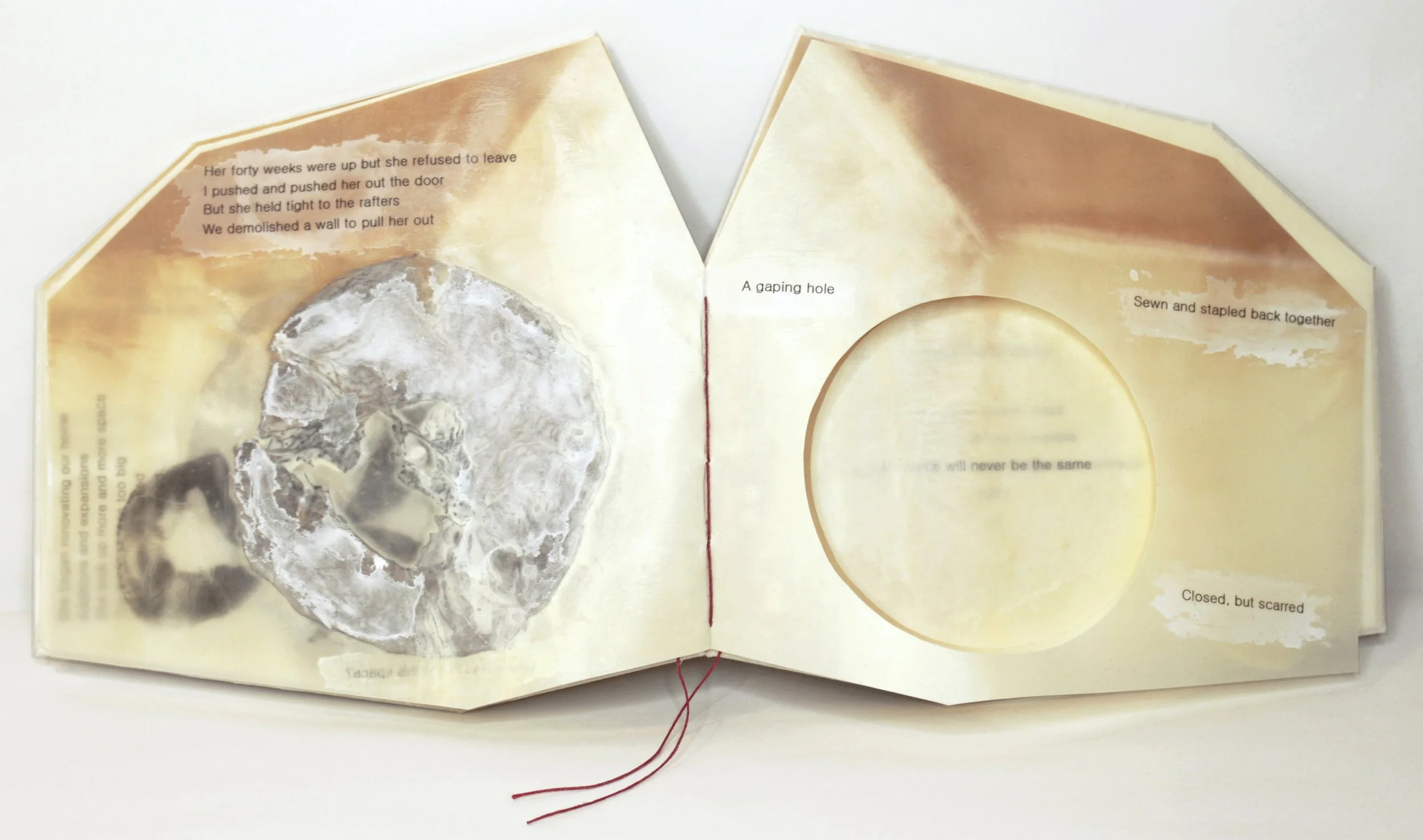   Bad Roommate , Encaustic transfer and microbial cellulose, 6” x 7,” 2026.   