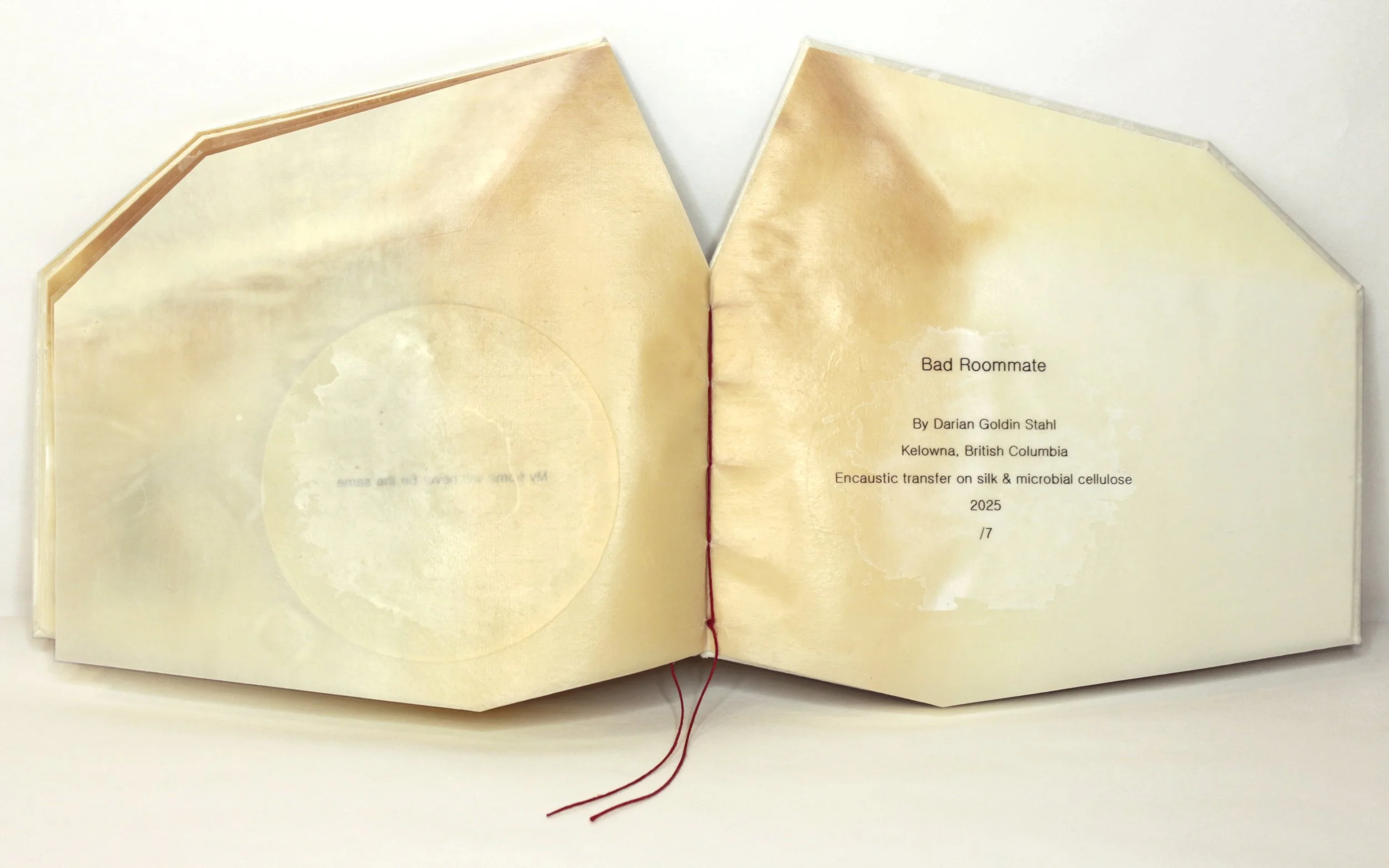   Bad Roommate , Encaustic transfer and microbial cellulose, 6” x 7,” 2026.   