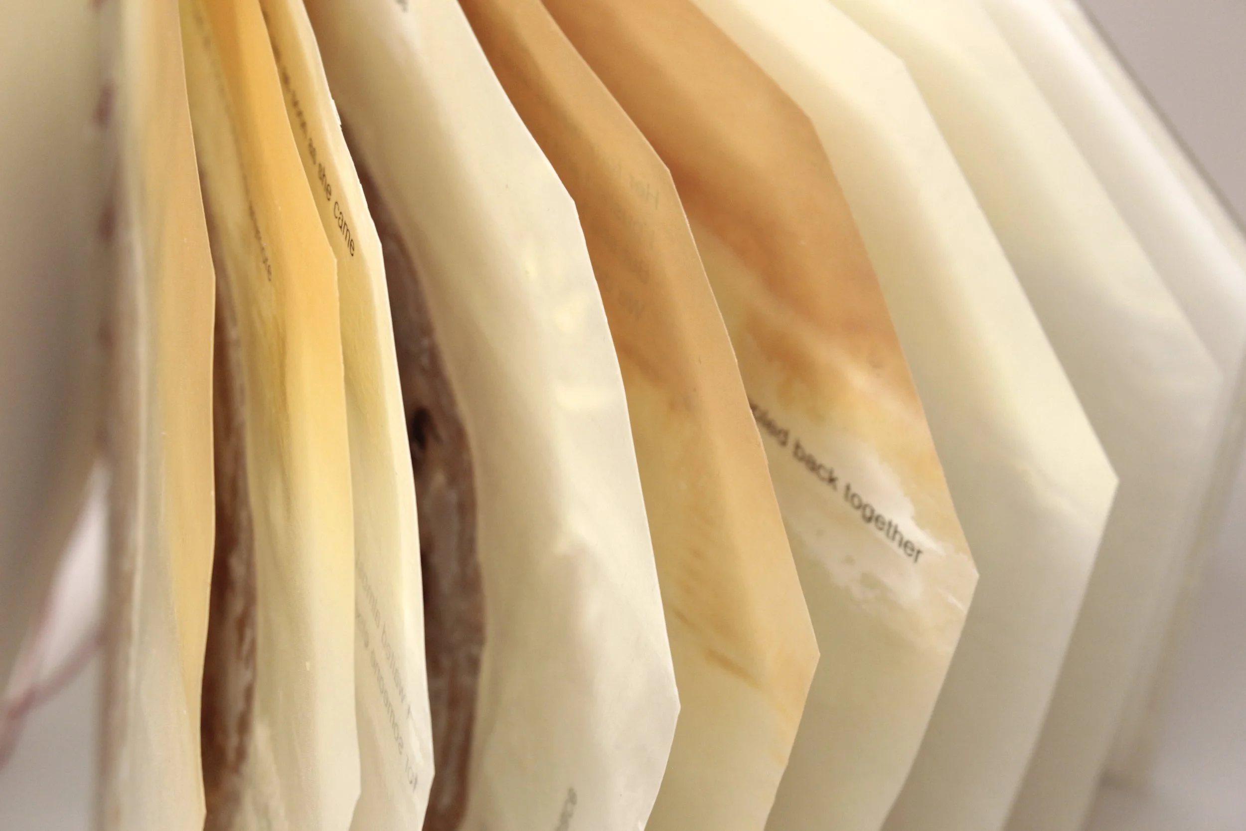   Bad Roommate , Encaustic transfer and microbial cellulose, 6” x 7,” 2026.   