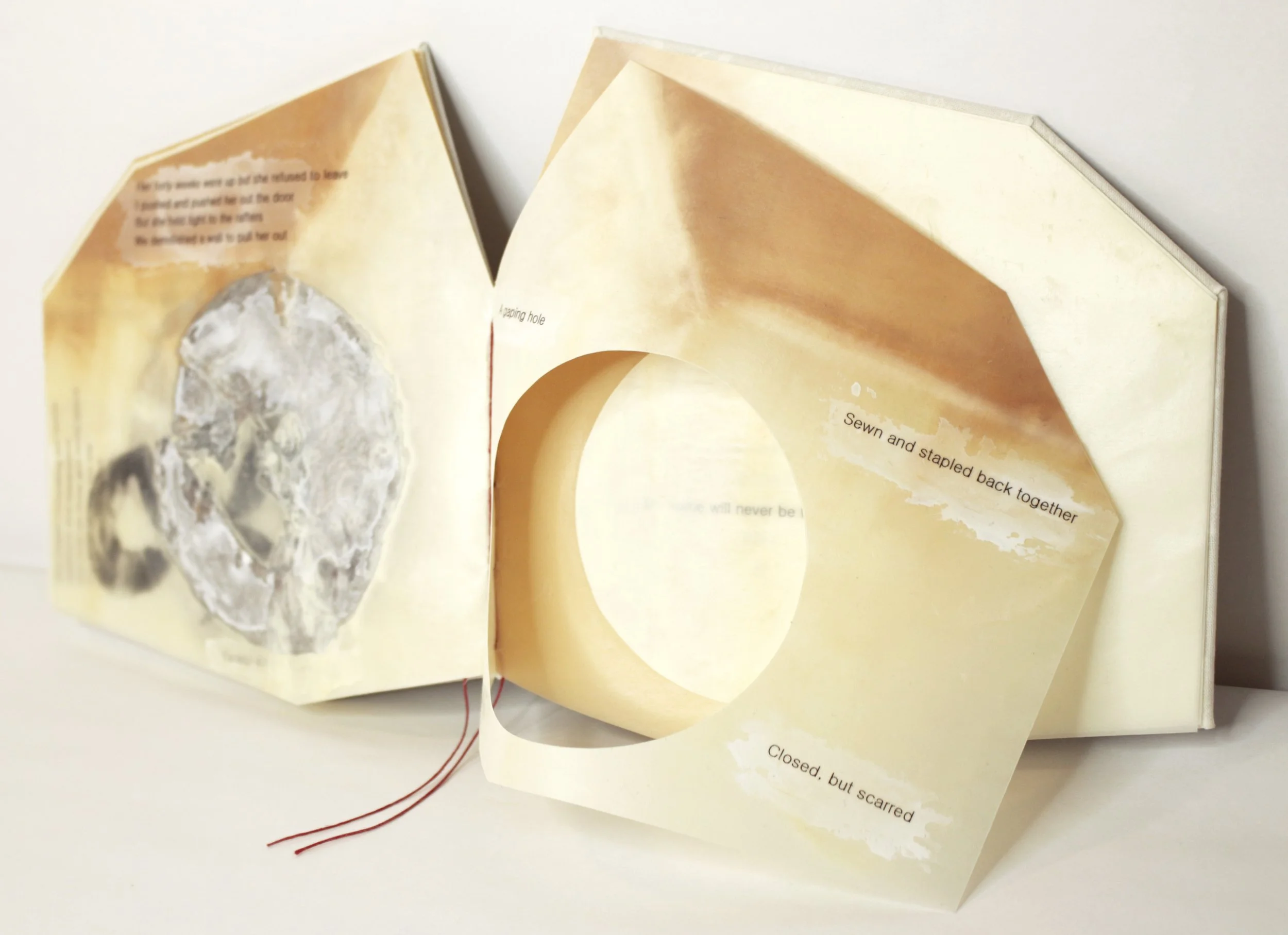   Bad Roommate , Encaustic transfer and microbial cellulose, 6” x 7,” 2026.   