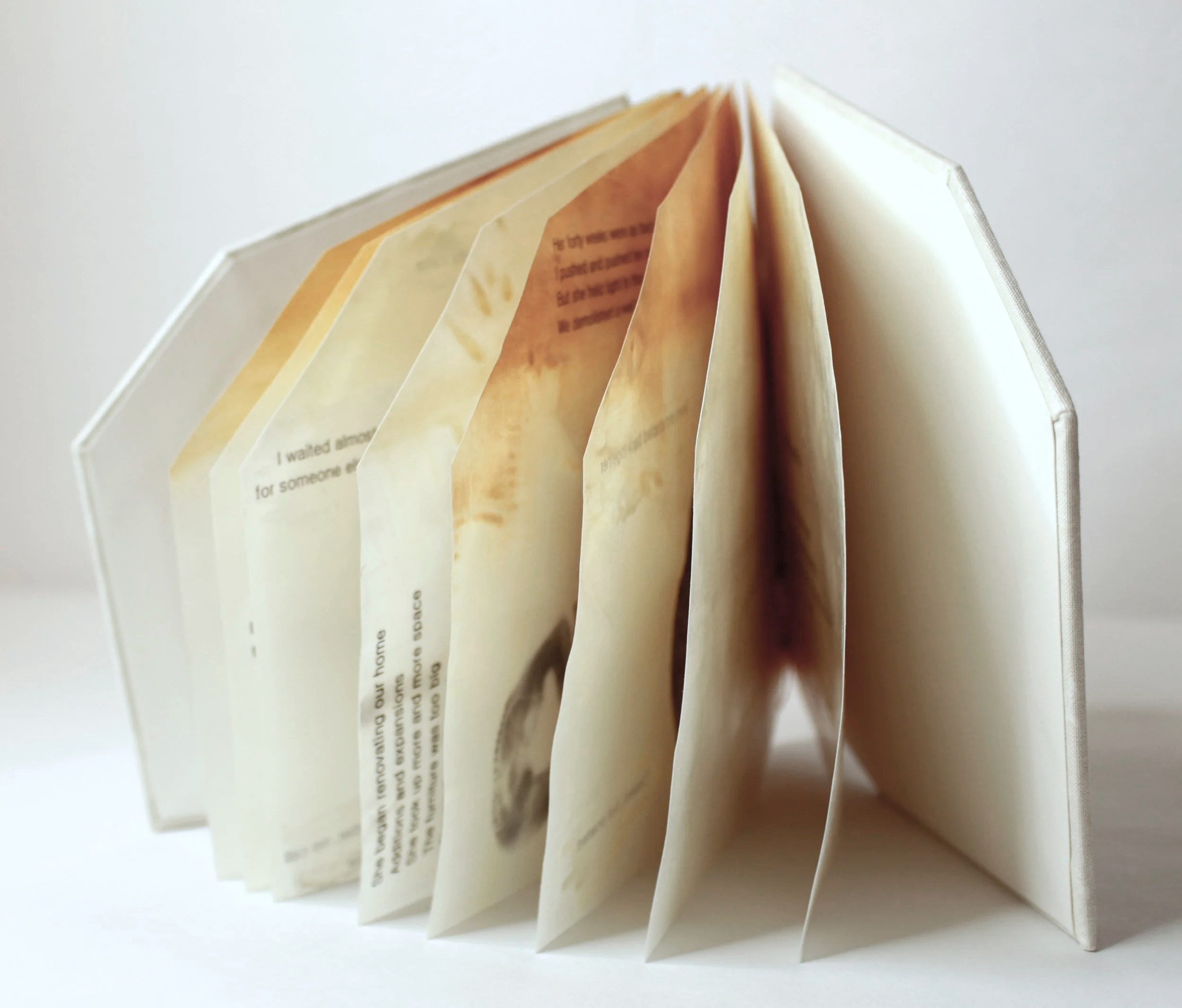   Bad Roommate , Encaustic transfer and microbial cellulose, 6” x 7,” 2026.   