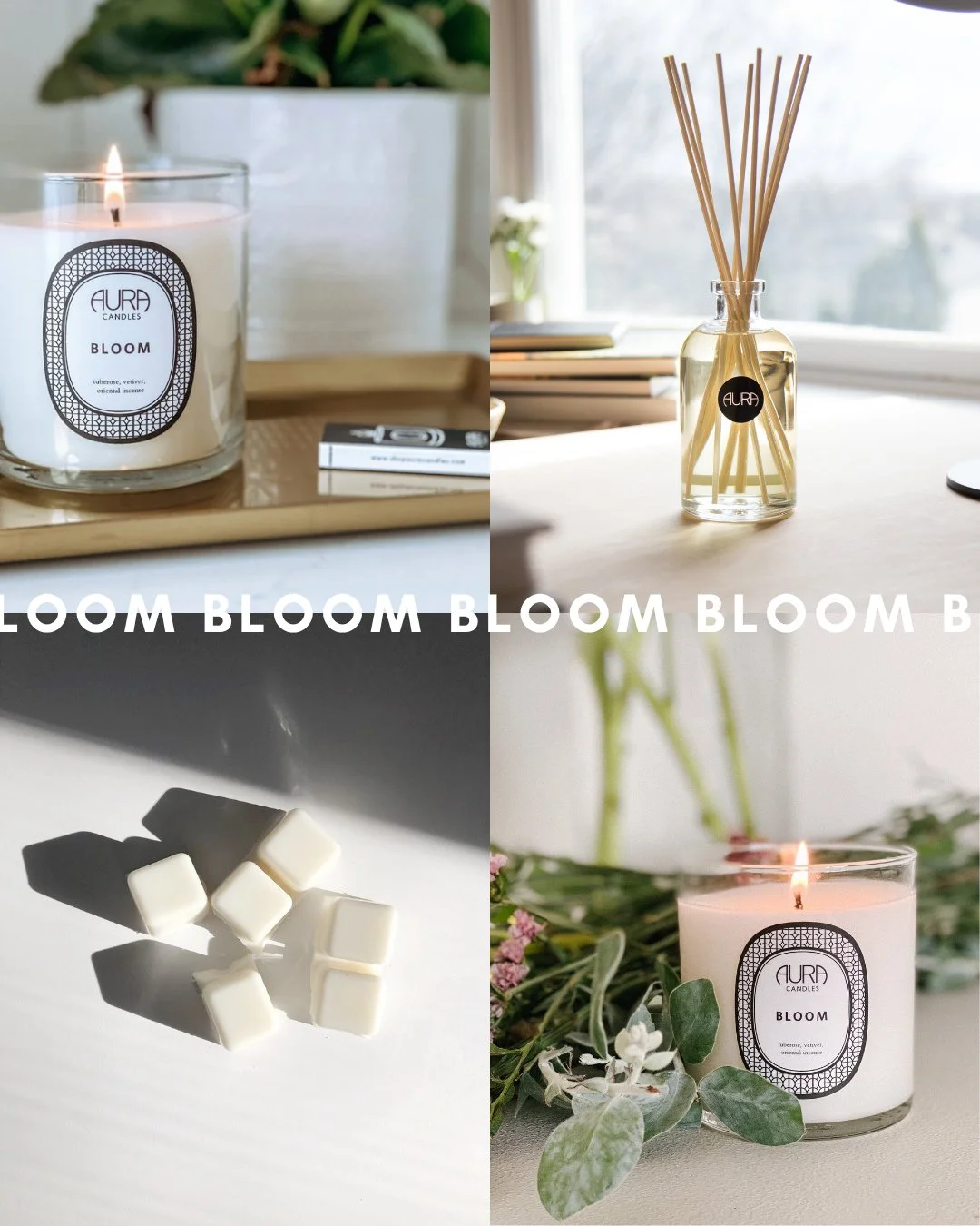 Scent Saturday: BLOOM 🌸⁠
⁠
TUBEROSE | INCENSE | VETIVER⁠
⁠
A modern floral scent where creamy tuberose is complimented by earthy incense &amp; woody vetiver. A sophisticated, bold floral.