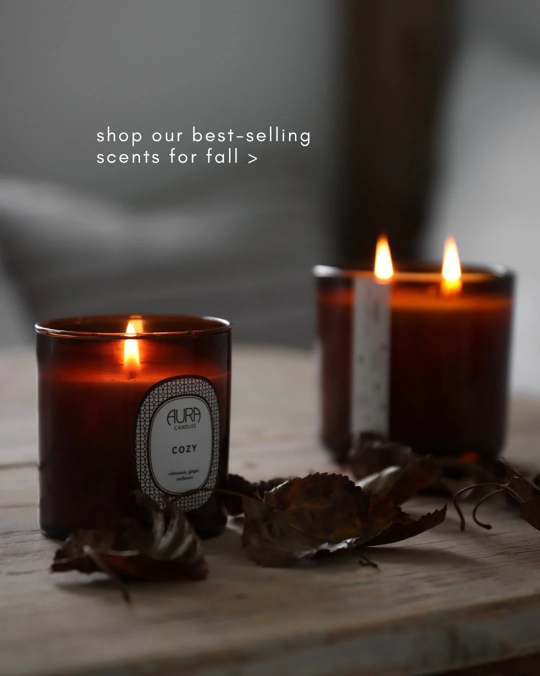 Fall scents are transformative. Immerse yourself in this season with scents like Cozy, Dreamy, Muse &amp; more. ✨⁠
⁠
Shop our favorites in the link in our bio!