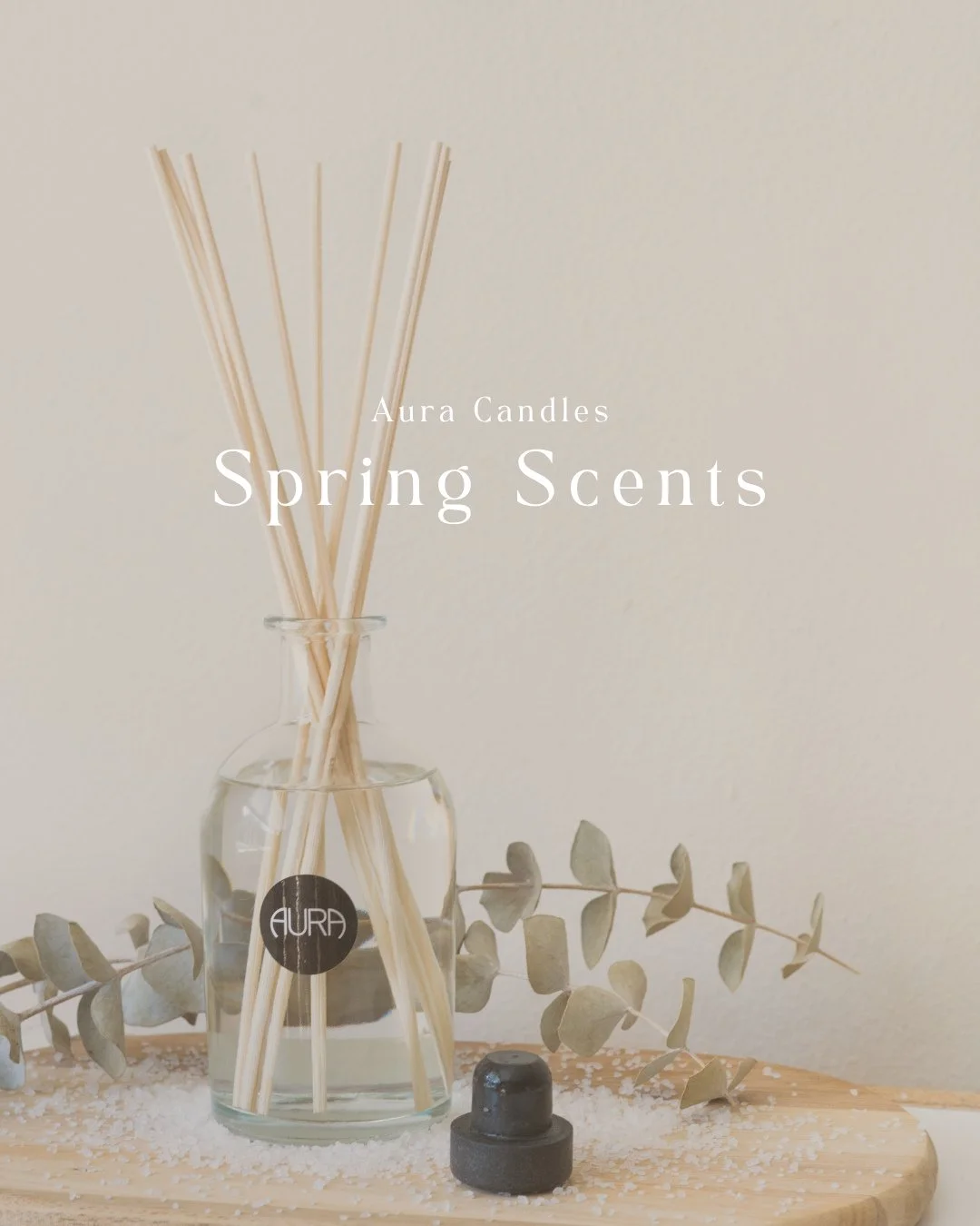 Fresh &amp; floral for spring 🌷🌿☀️🕊️⁠
⁠
We find ourselves reaching for these scents every year spring rolls around. Light, fresh &amp; floral to match the sweet change of seasons. ⁠
⁠
Shop them in the link in our bio!
