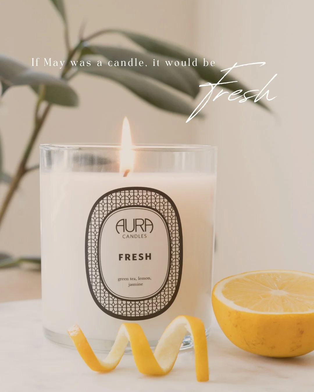 Light, clean &amp; soothing - just like the new month of May. 🌿⁠
⁠
A fresh breathe of air. A fresh perspective. A fresh space.⁠
Shop Fresh in the link in our bio!