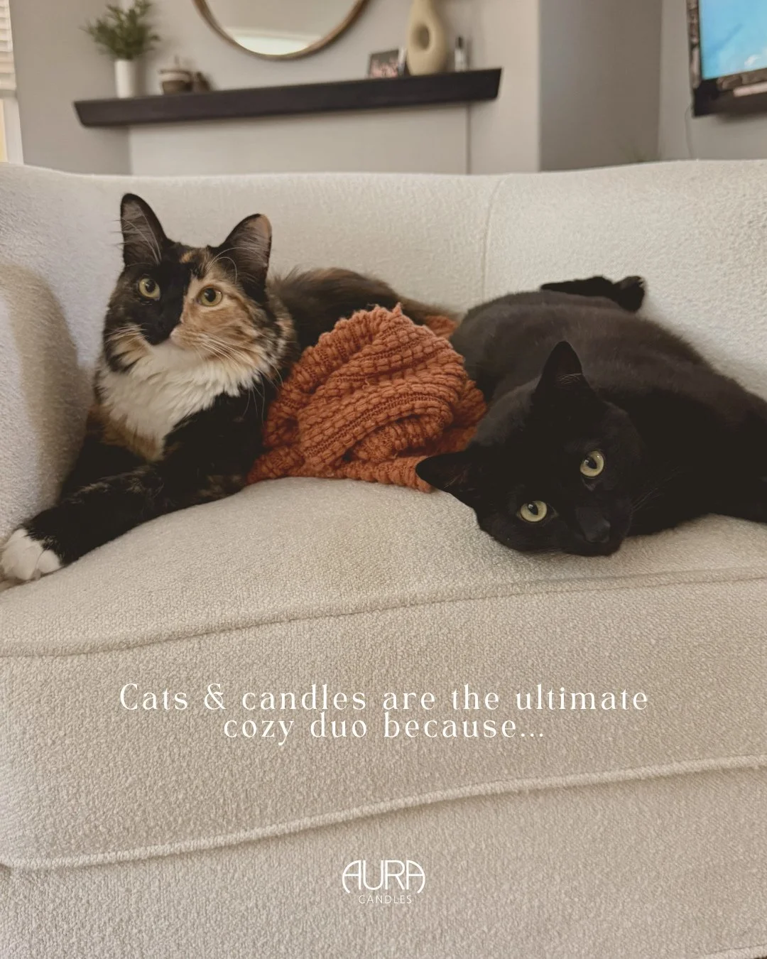 If you know us, you know our love for cats. 🐈🕯️✨⁠
⁠
Meet Zeke and Millie! The duo that keeps things sweet and cozy around here. Between naps, posing for the camera, and offering their best candle-making advice 😉, they spend their days living the g