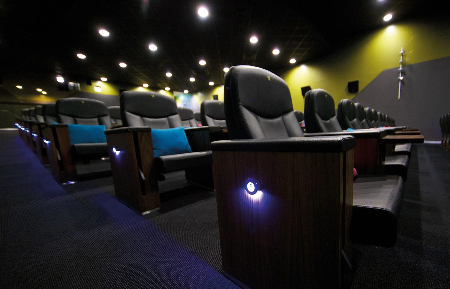 TWINLITE™ LED Seat Lighting and Row Indicator