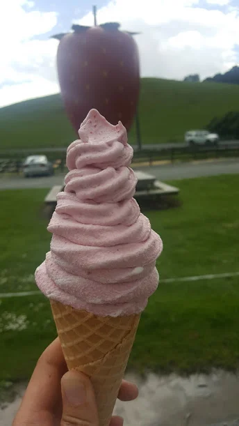 had to stop by my favorite real fruit ice cream!