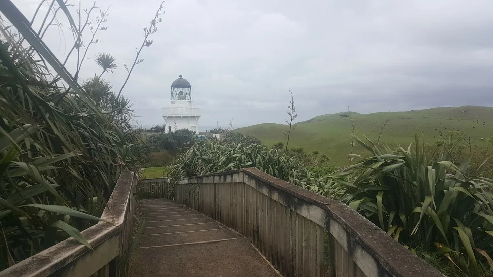 20170926_125240.jpg