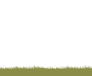 Comp-6.gif