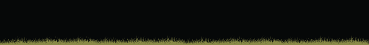 Comp-16.gif