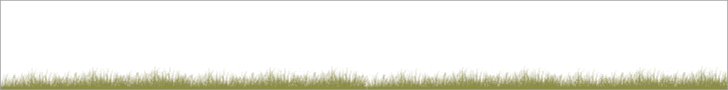 lockwood-728x90-butterfly.gif
