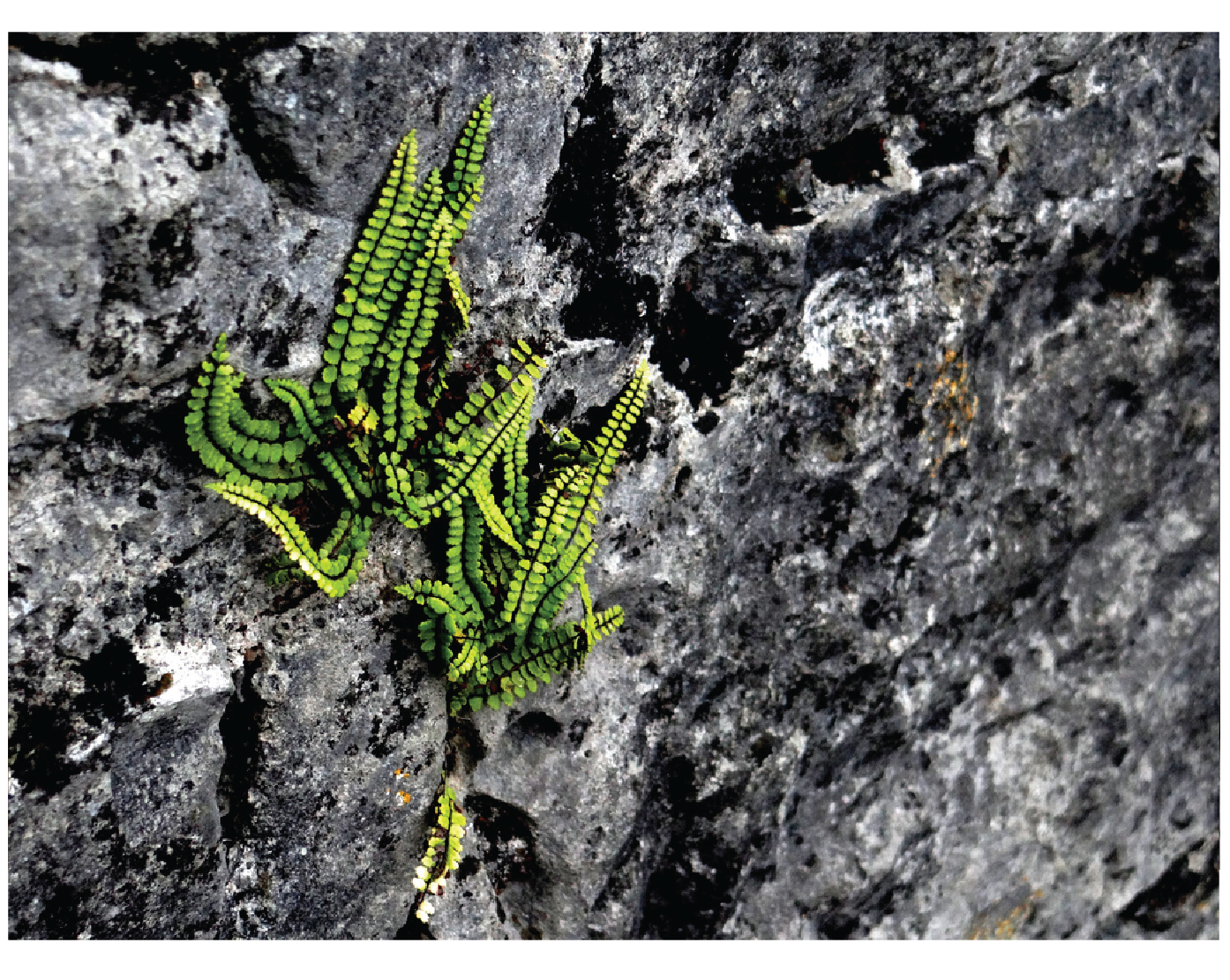 Untitled-10-02-01.png