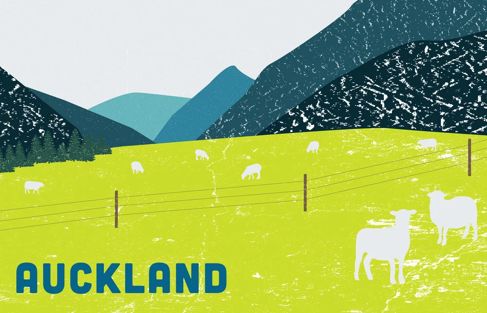 nz8.jpg