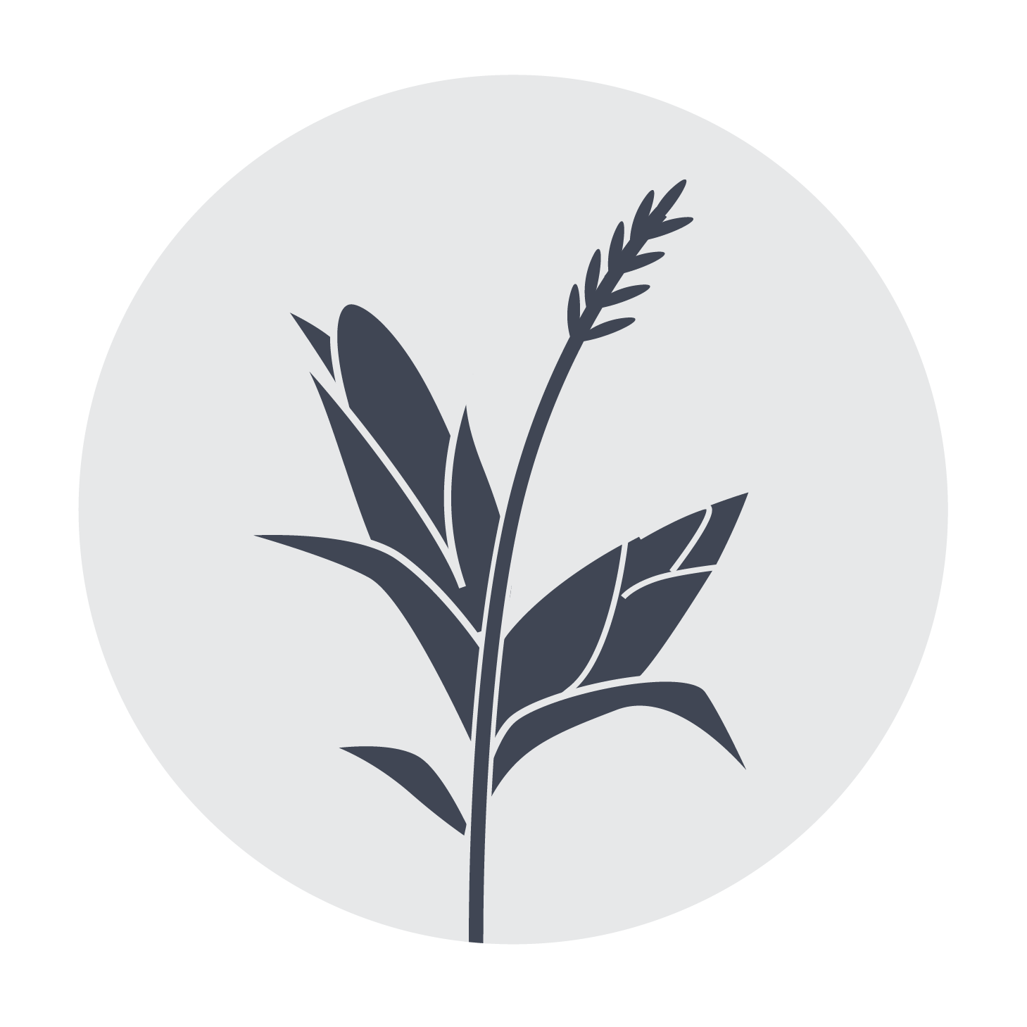 hi res icons_Corn Stalk.png