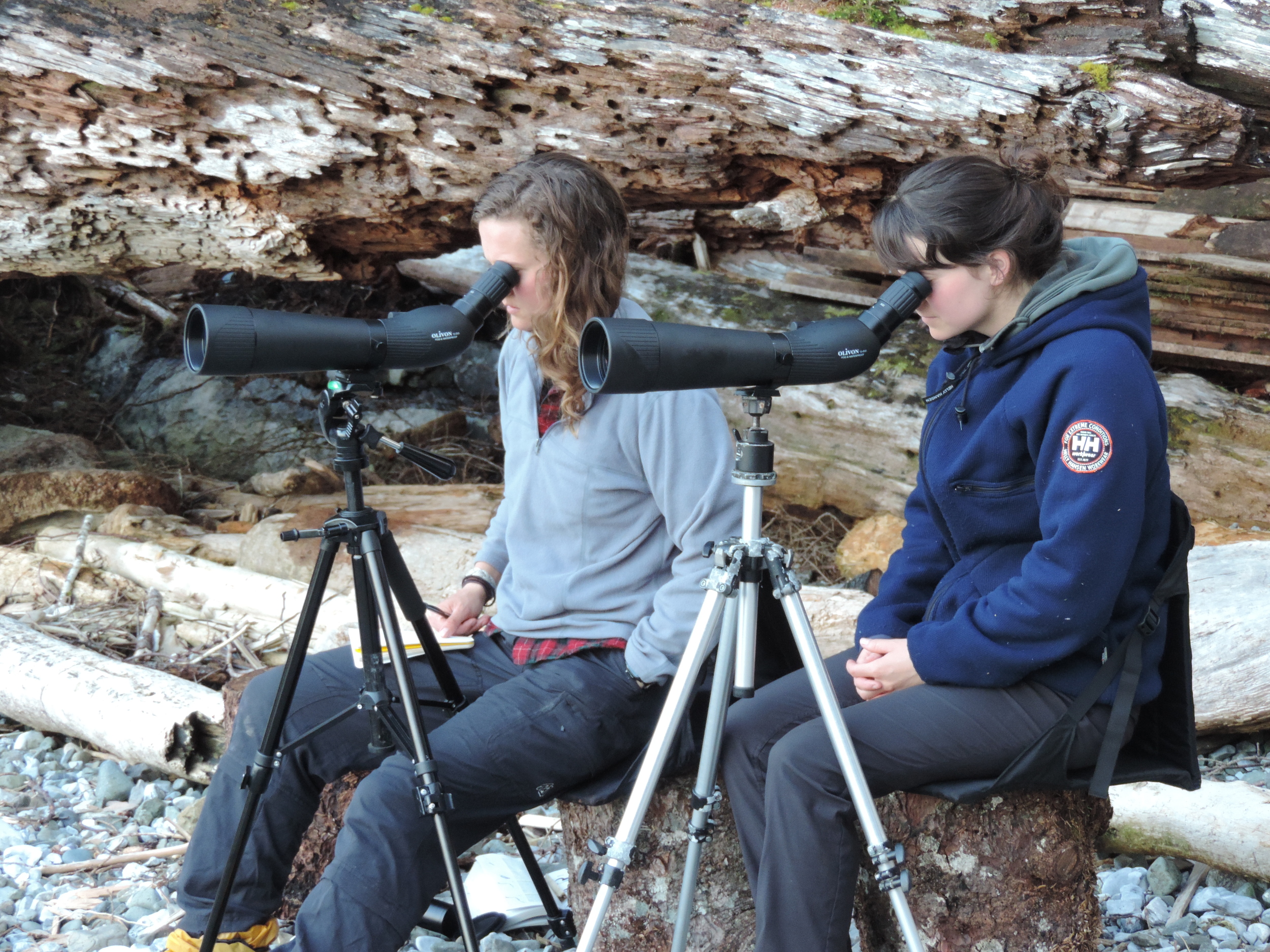 Viv and Ellen counting Ancient Murrelets.JPG