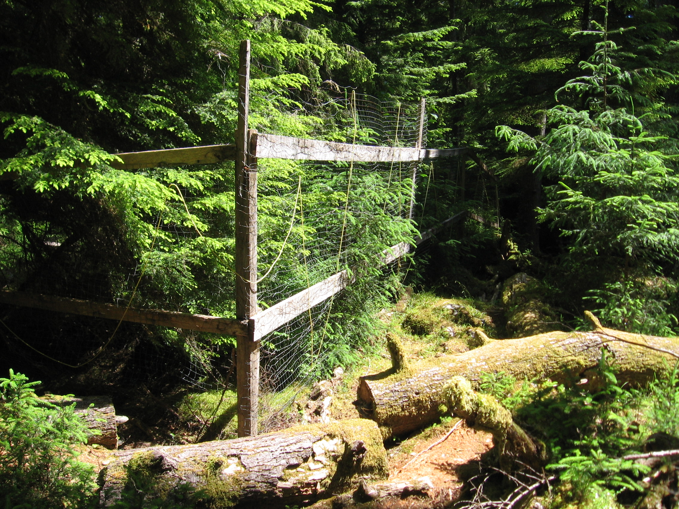Deer exclosure-4.jpg