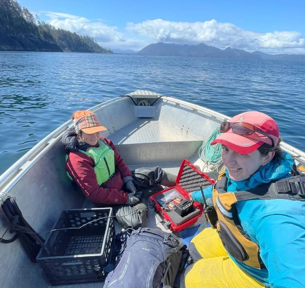 Sea Survey with portable hydrophone.    