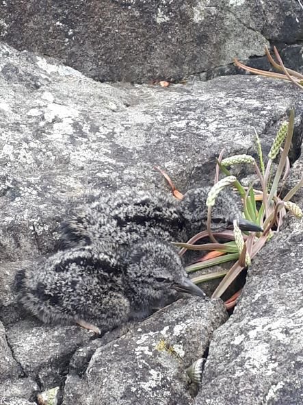 Photo credit: Rhonda Hall