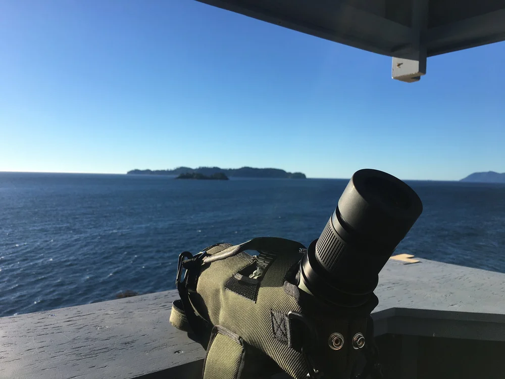 New spotting scope in use at new Lookout Point Observation Shelter.