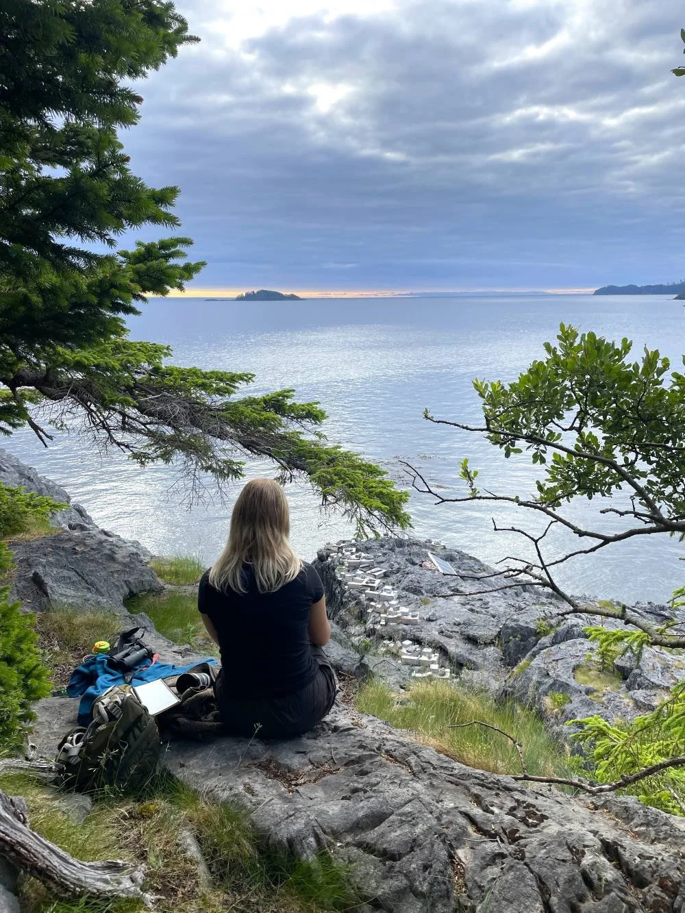 Volunteer Jessica overlooking PIGU nest box project.