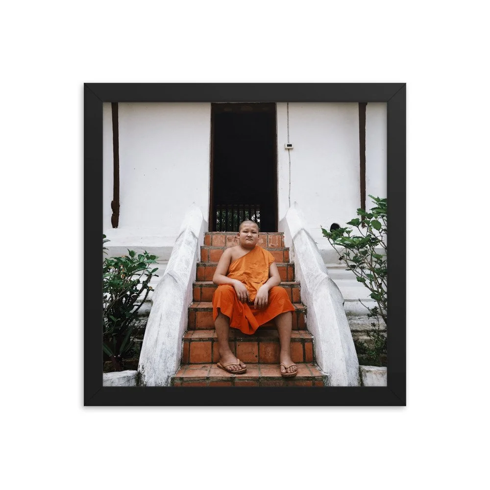premium-luster-photo-paper-framed-poster-(in)-black-12x12-transparent-63fbc321c81e3.jpg
