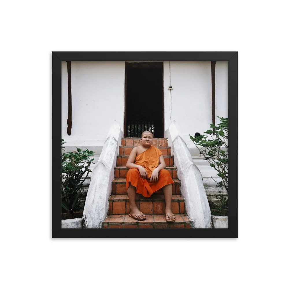 premium-luster-photo-paper-framed-poster-(in)-black-14x14-transparent-63fbc321c8303.jpg