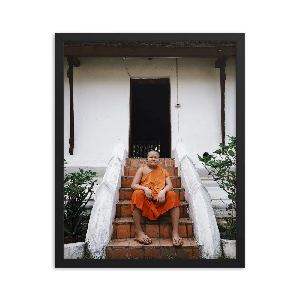 premium-luster-photo-paper-framed-poster-(in)-black-16x20-transparent-63fbc321c848f.jpg