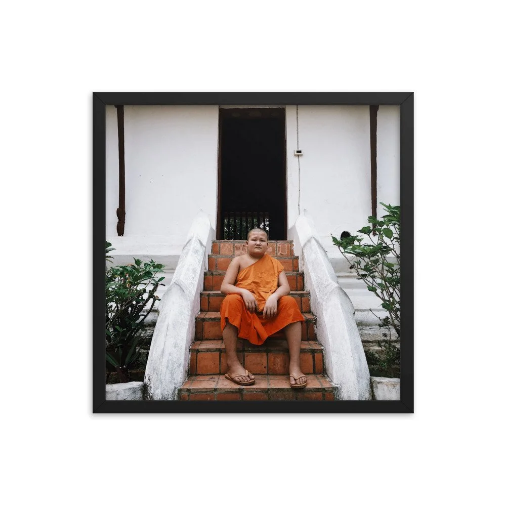 premium-luster-photo-paper-framed-poster-(in)-black-18x18-transparent-63fbc321c8554.jpg