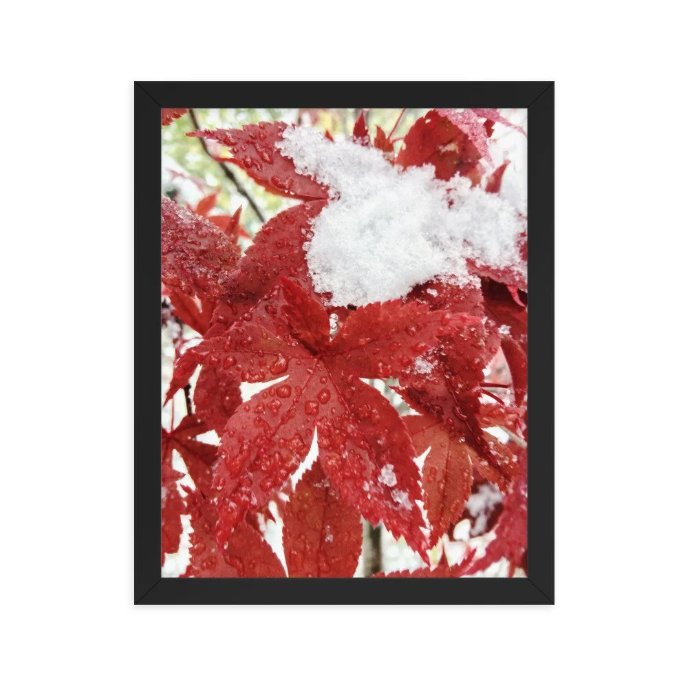 premium-luster-photo-paper-framed-poster-(in)-black-11x14-transparent-63fbc85c77b1d.jpg