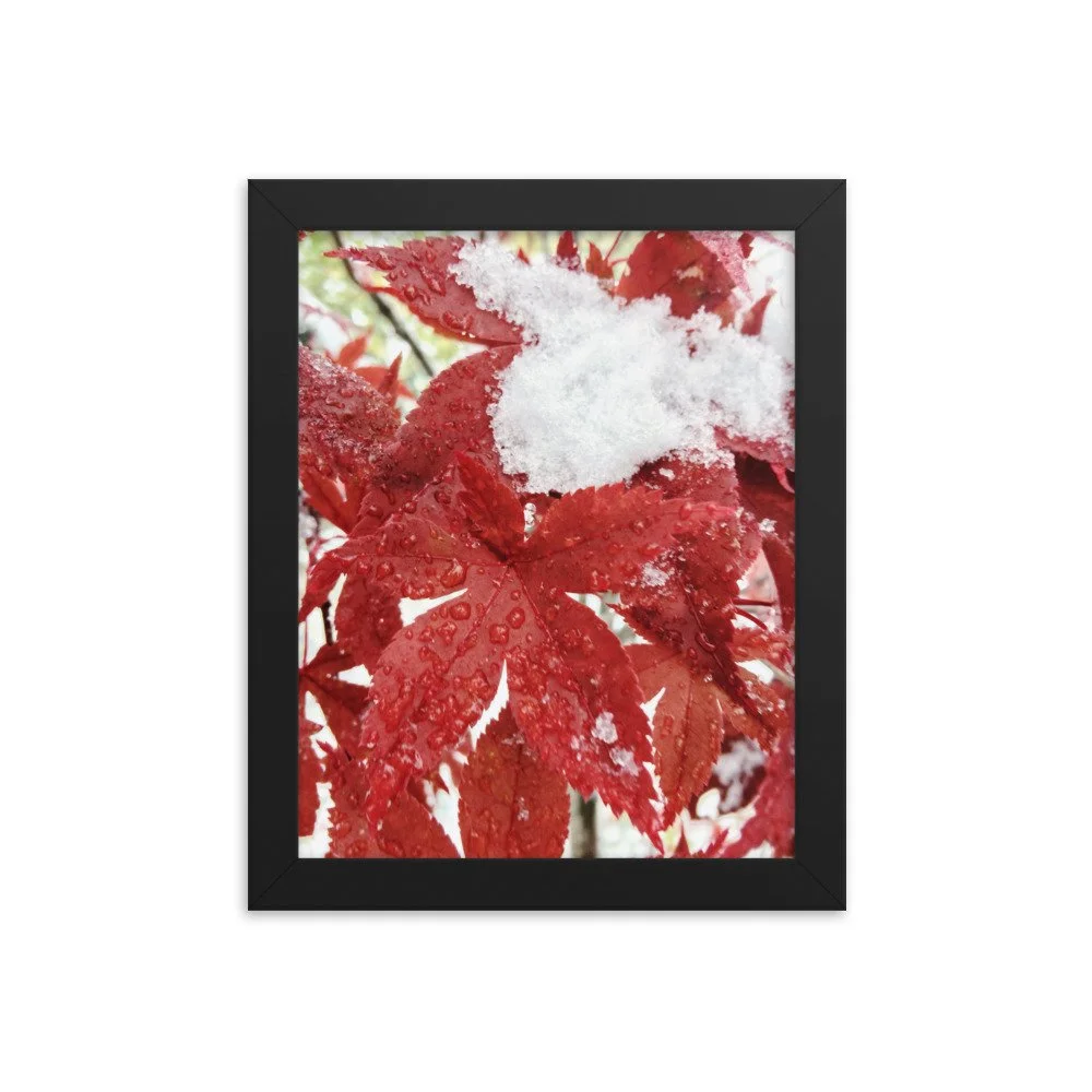 premium-luster-photo-paper-framed-poster-(in)-black-8x10-transparent-63fbc85c79410.jpg