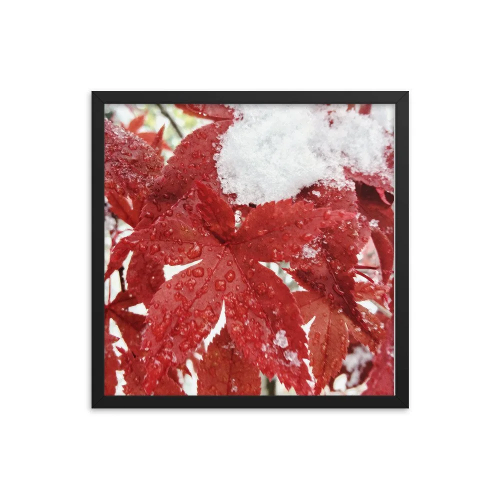 premium-luster-photo-paper-framed-poster-(in)-black-18x18-transparent-63fbc85c79811.jpg