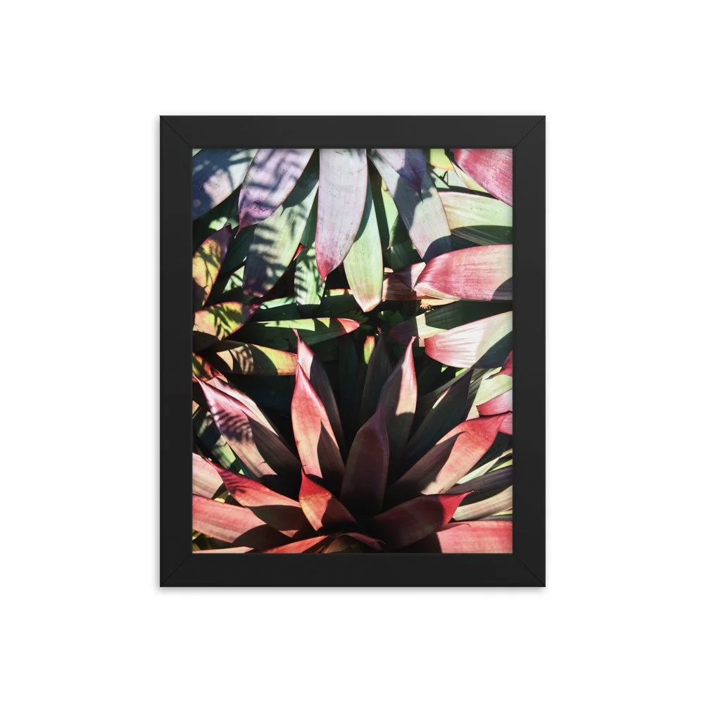 premium-luster-photo-paper-framed-poster-(in)-black-8x10-transparent-63fbce6005ab4.jpg