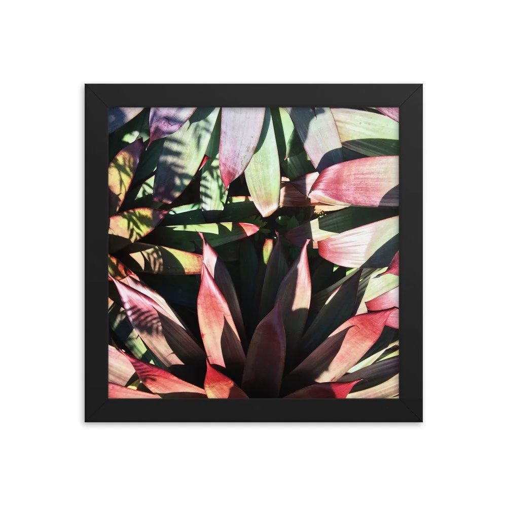 premium-luster-photo-paper-framed-poster-(in)-black-10x10-transparent-63fbce6005b56.jpg