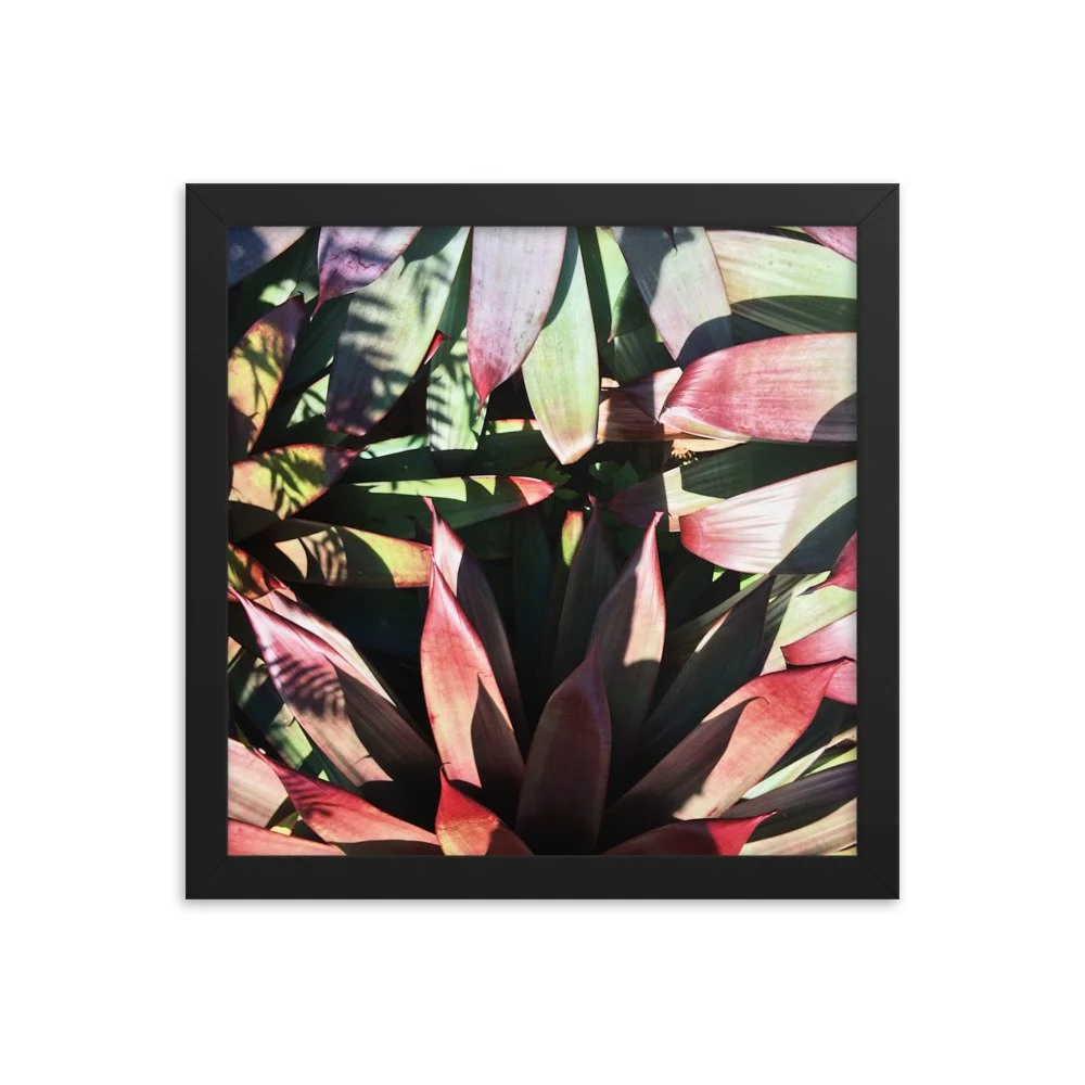 premium-luster-photo-paper-framed-poster-(in)-black-12x12-transparent-63fbce6005bd9.jpg