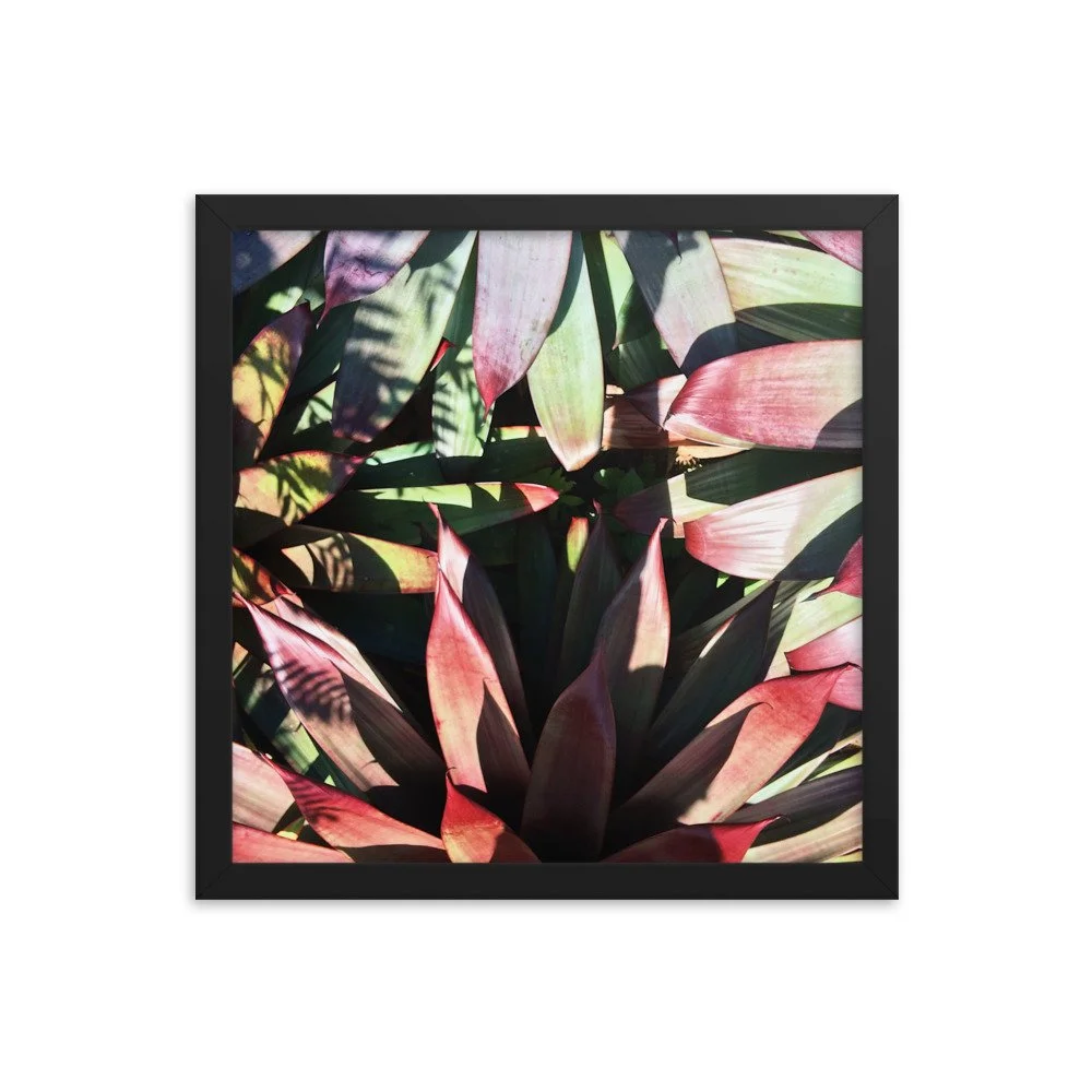 premium-luster-photo-paper-framed-poster-(in)-black-14x14-transparent-63fbce6005c90.jpg