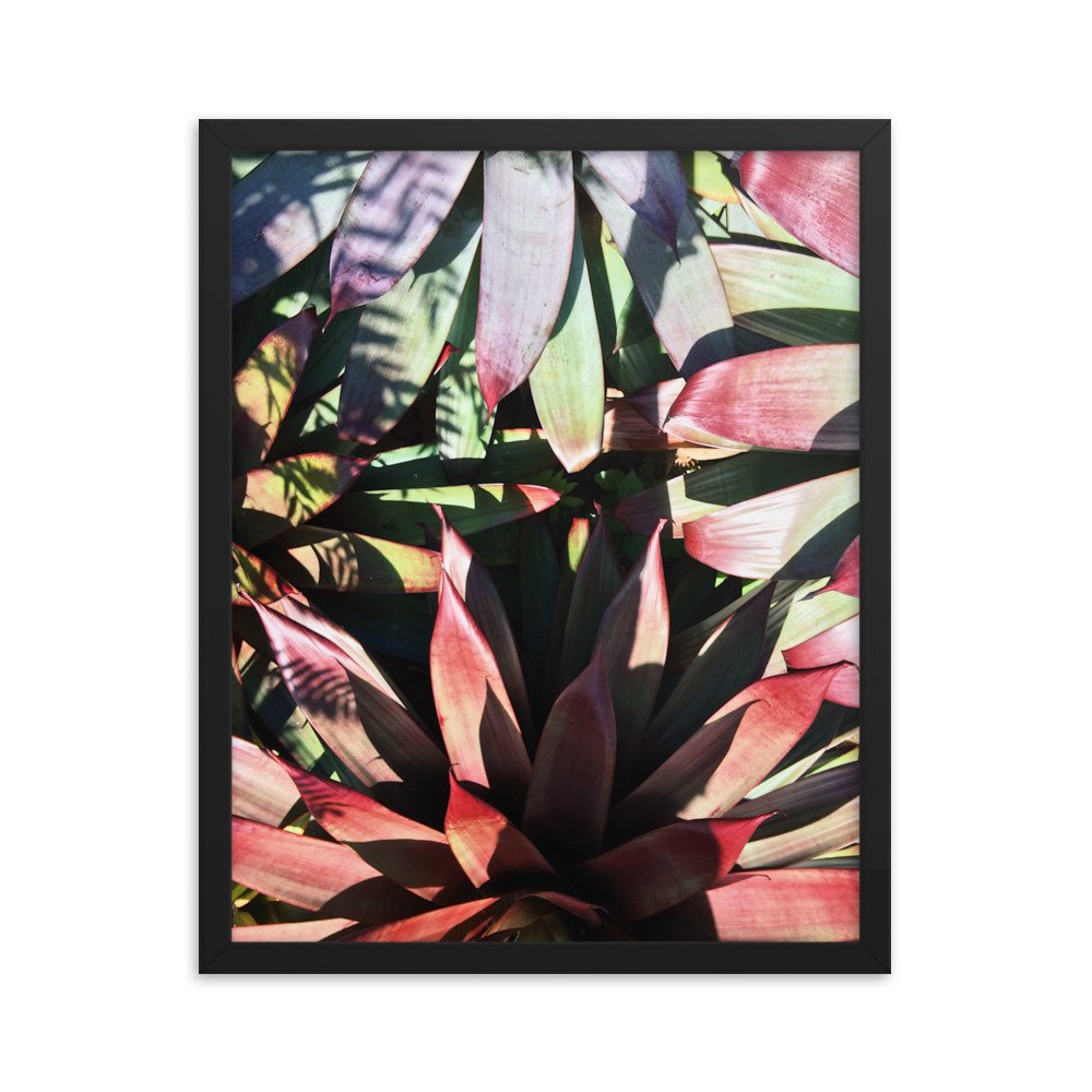 premium-luster-photo-paper-framed-poster-(in)-black-16x20-transparent-63fbce6005d81.jpg