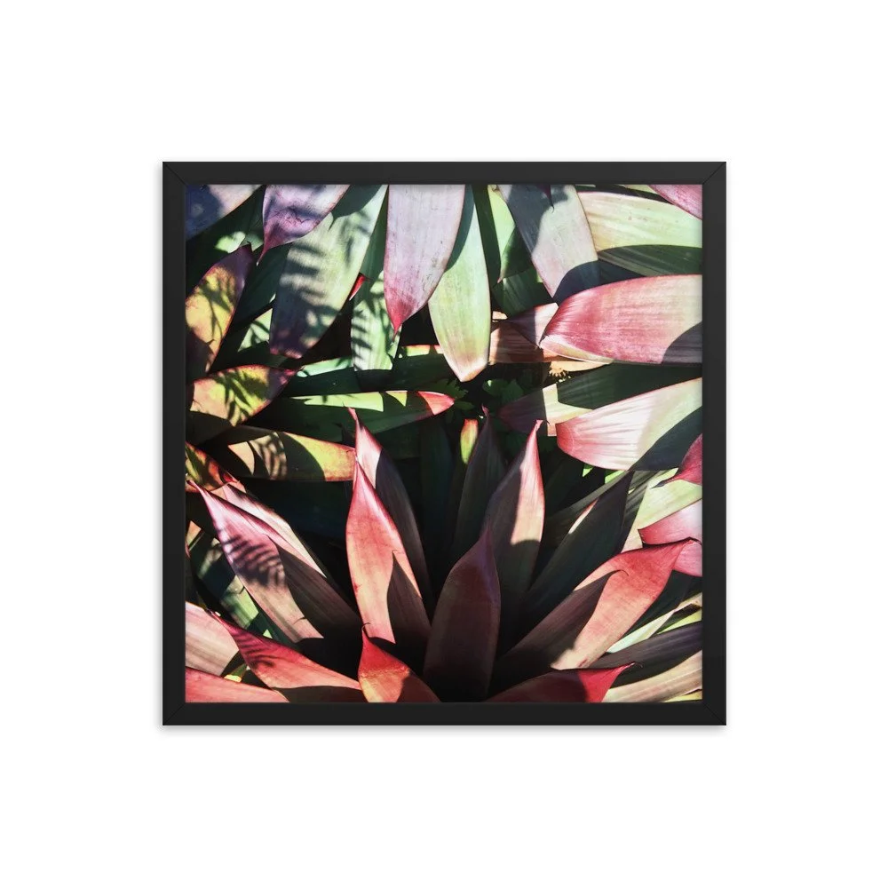 premium-luster-photo-paper-framed-poster-(in)-black-18x18-transparent-63fbce6005dfc.jpg