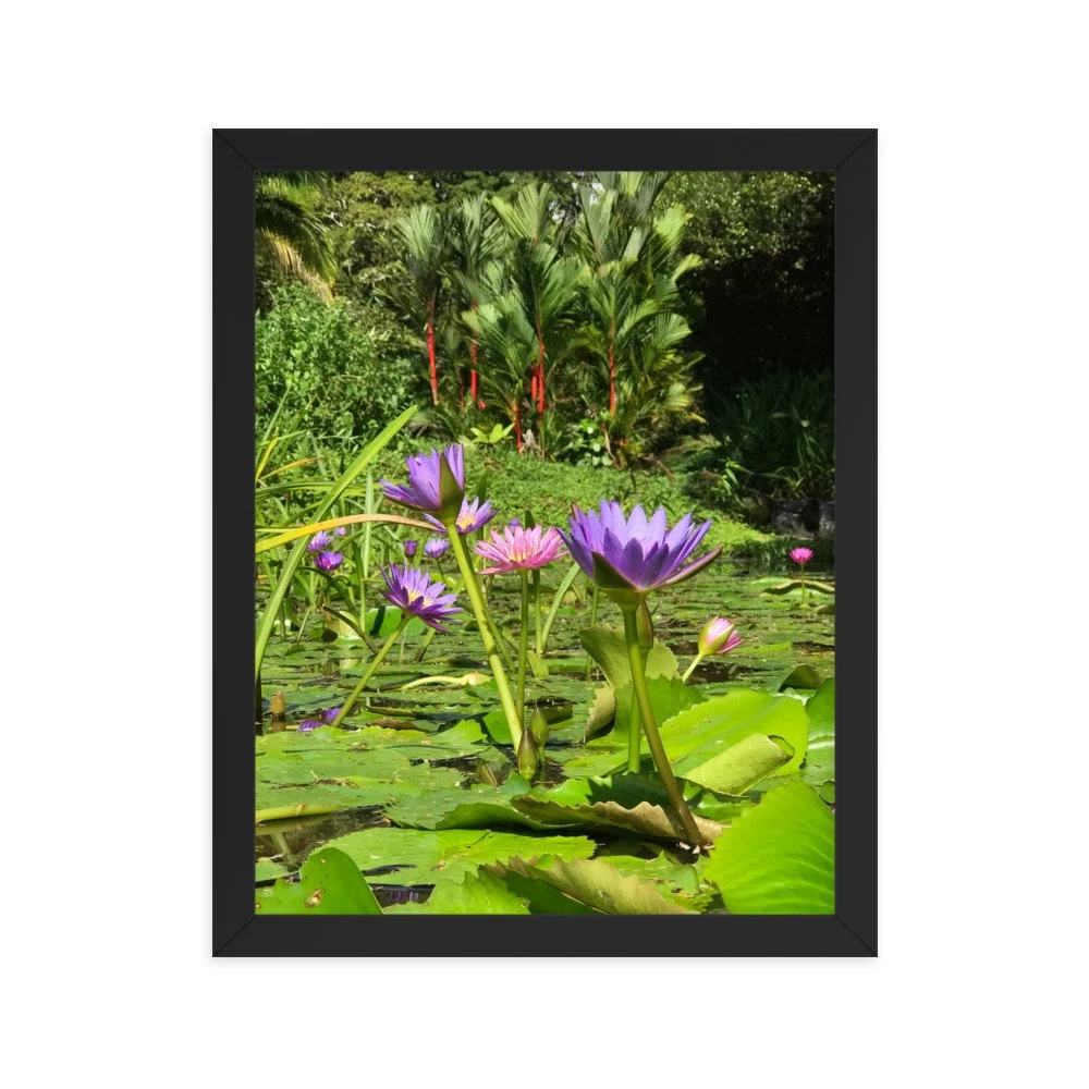 premium-luster-photo-paper-framed-poster-(in)-black-11x14-transparent-63fbd3137e1ae.jpg
